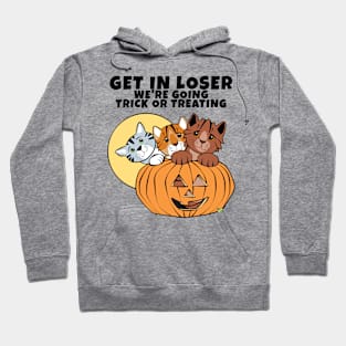 Get in Loser Cats in Halloween Pumpkin Hoodie